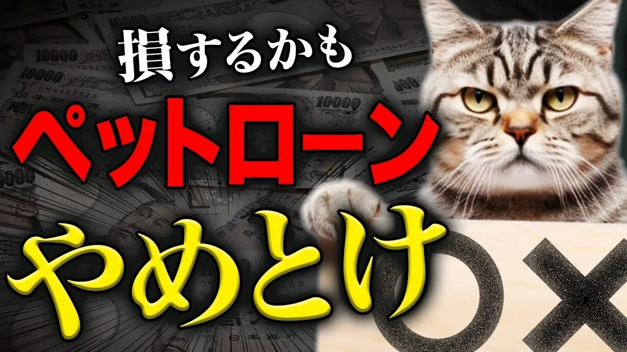 猫 ブリーダー ローンで安心！優良ブリーダーの子猫を迎える賢い方法